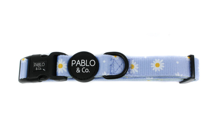 Blue Daisy Dog Collar