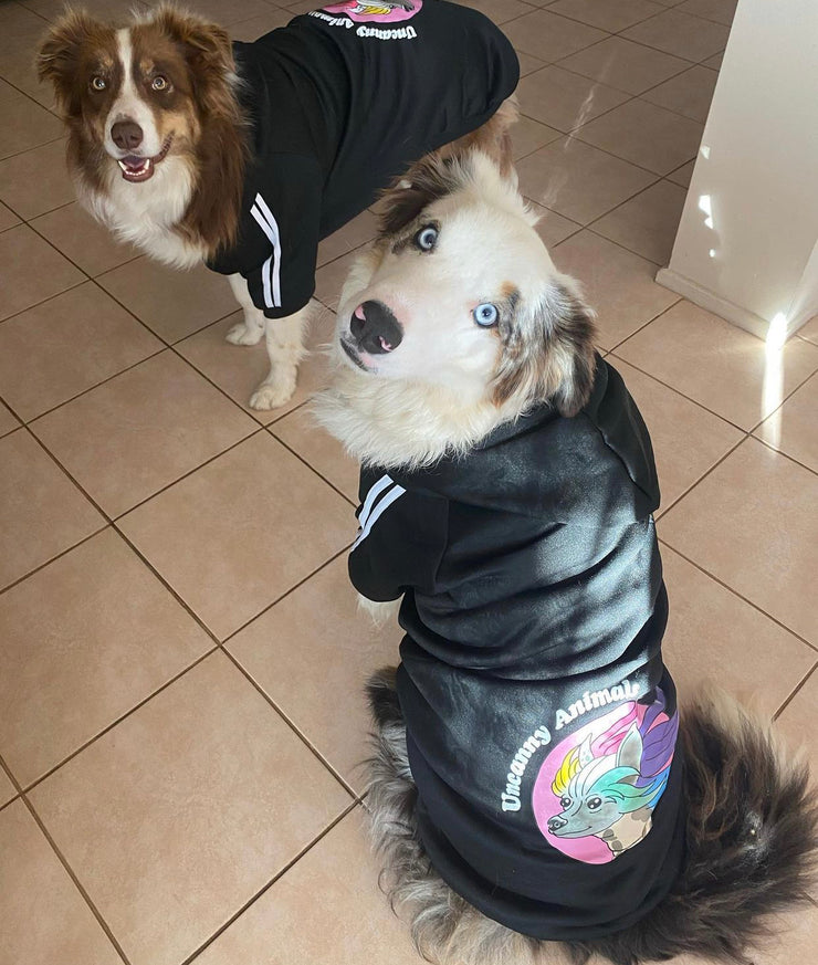 Uncanny Animals Merch Pet Hoodie