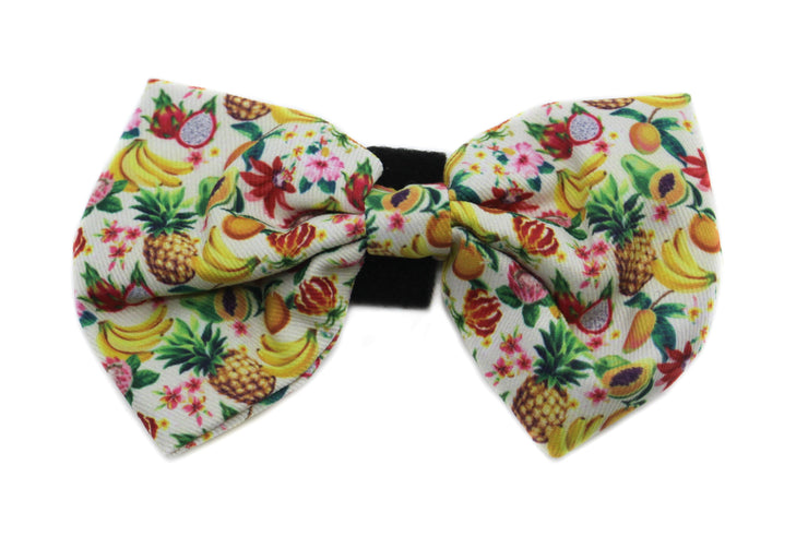 Fruity Bow Tie