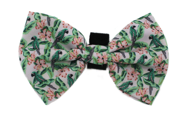 Blushing Parrots Bow Tie