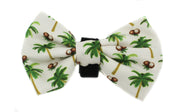 Coconut Island Bow Tie