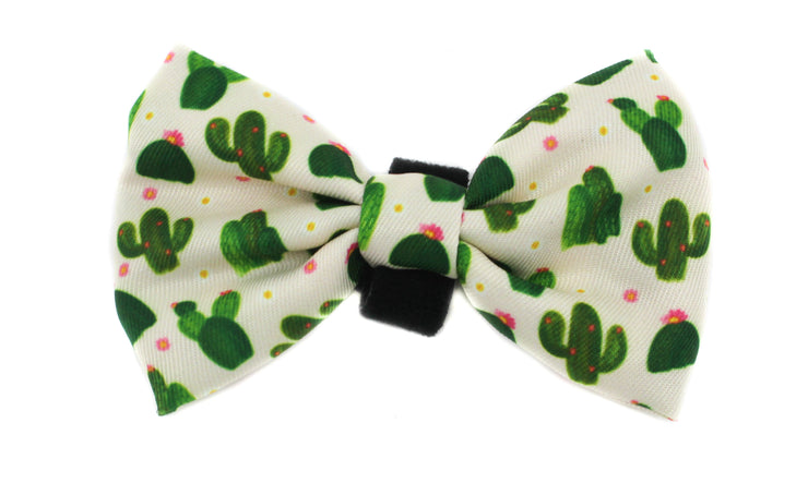 Cactus Bow Tie