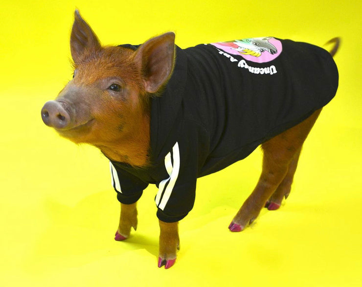 Uncanny Animals Merch Pet Hoodie