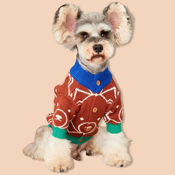 Teddy Bear Knitted Cardigan Sweater