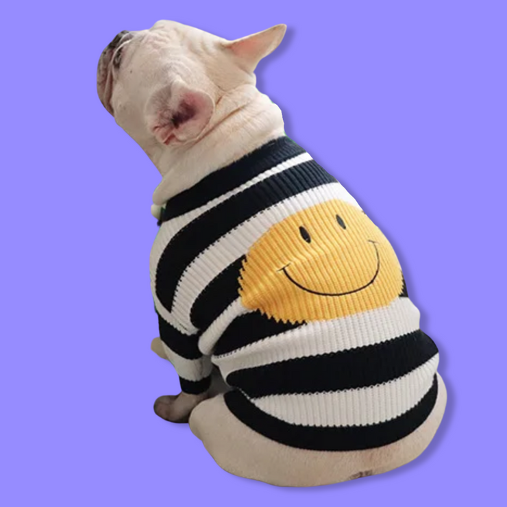 Smiley Knitted Sweater