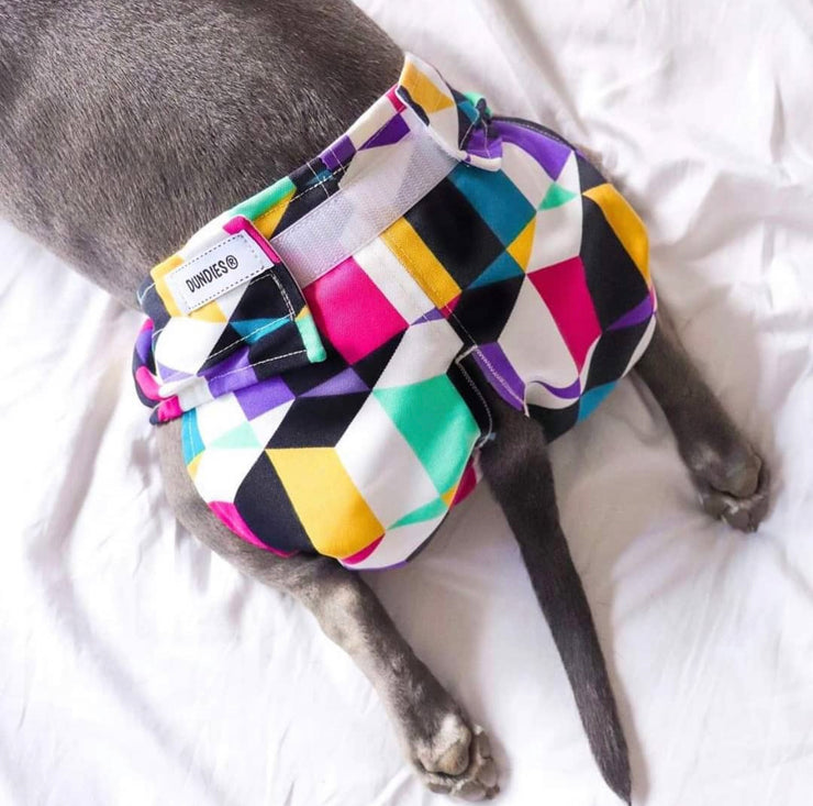 Eco Dog Nappy