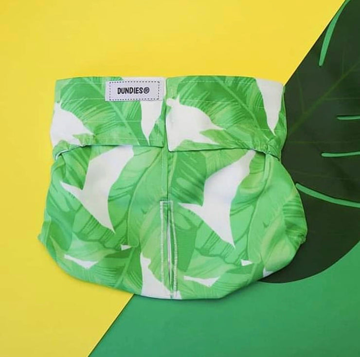 Eco Dog Nappy