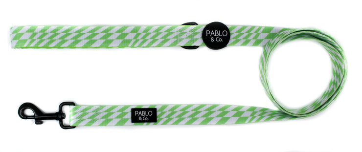 Lime Check Check Dog Leash