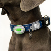 Max & Molly Matrix Ultra LED Harness/Collar Safety Light