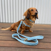 Sky Blue Jumbo Cord Leash