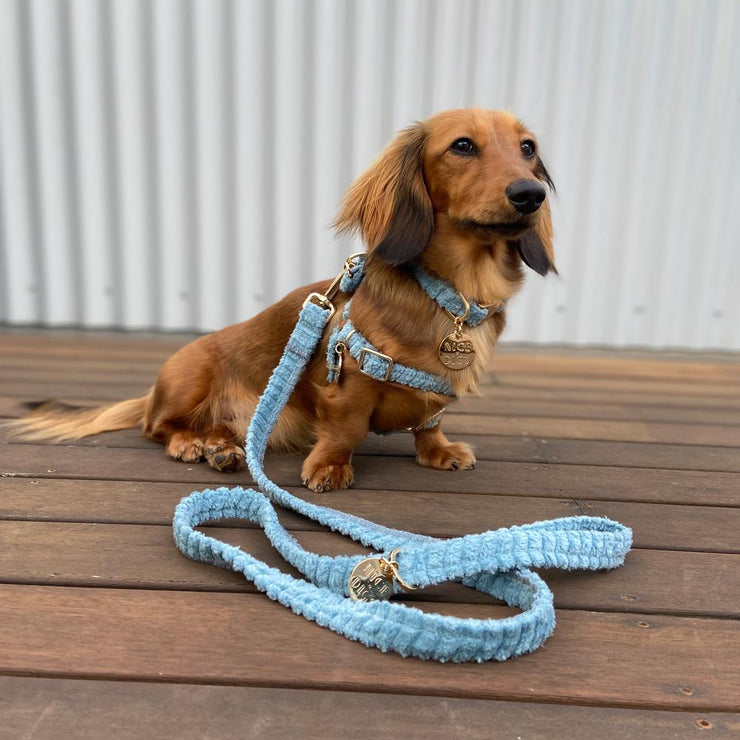 Sky Blue Jumbo Cord Leash