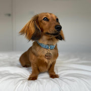 Sky Blue Jumbo Cord Collar