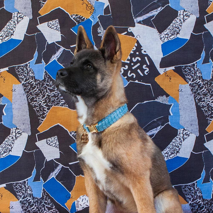 Sky Blue Jumbo Cord Collar