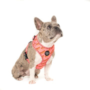 Vegan Hot Dog Pink Adjustable Harness