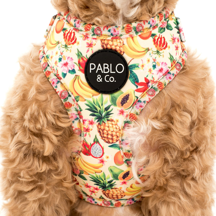 Fruity Adjustable Harness