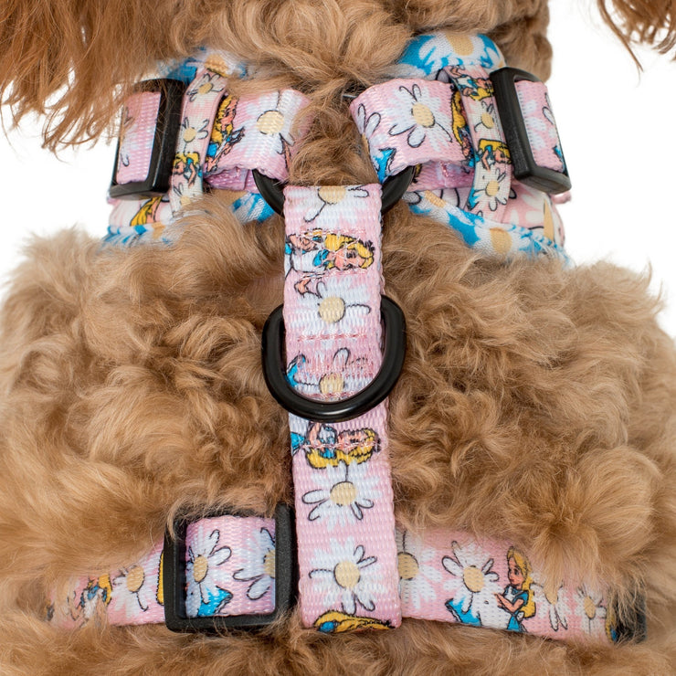 Alice in Wonderland Adjustable Harness