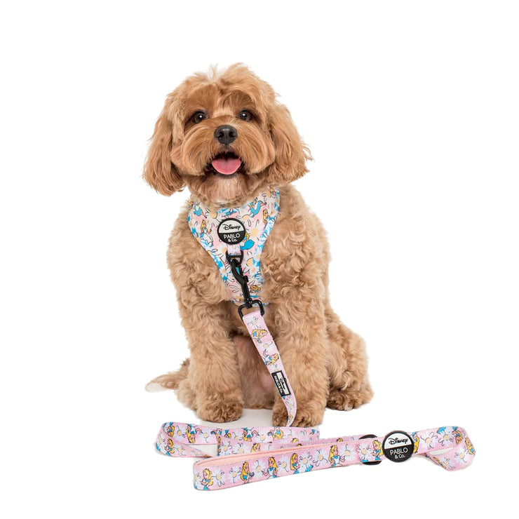 Alice in Wonderland Dog Leash