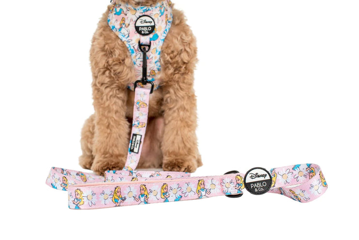 Alice in Wonderland Dog Leash