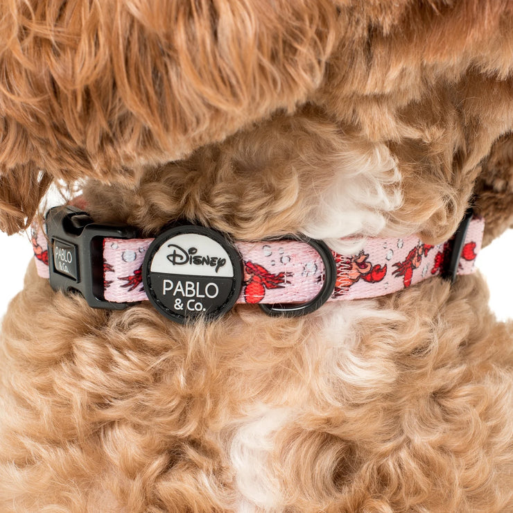 The Little Mermaid - Sebastian -  Dog Collar