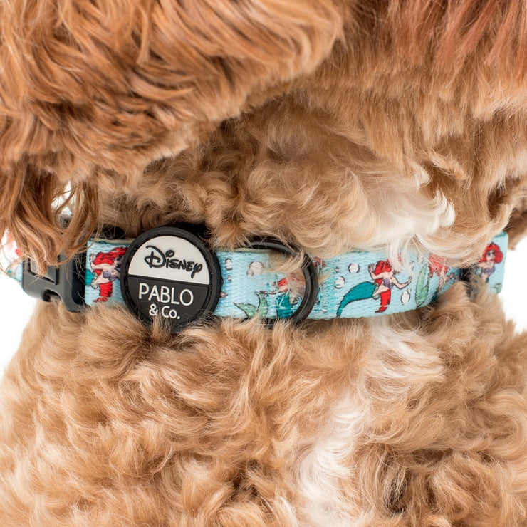 The Little Mermaid- Ariel - Dog Collar