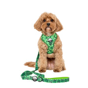 Toy Story - Rex Dog Leash