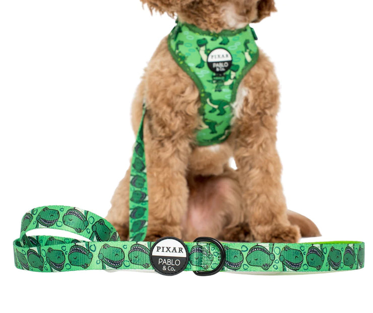 Toy Story - Rex Dog Leash