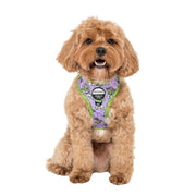 Toy Story - Buzz Lightyear Adjustable Harness