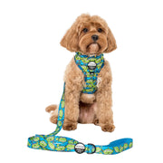 Toy Story - Aliens Dog Leash