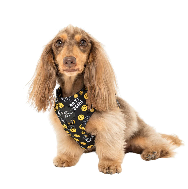 Anti Social Adjustable Harness