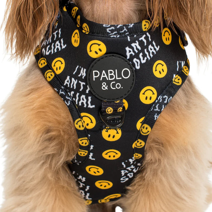 Anti Social Adjustable Harness