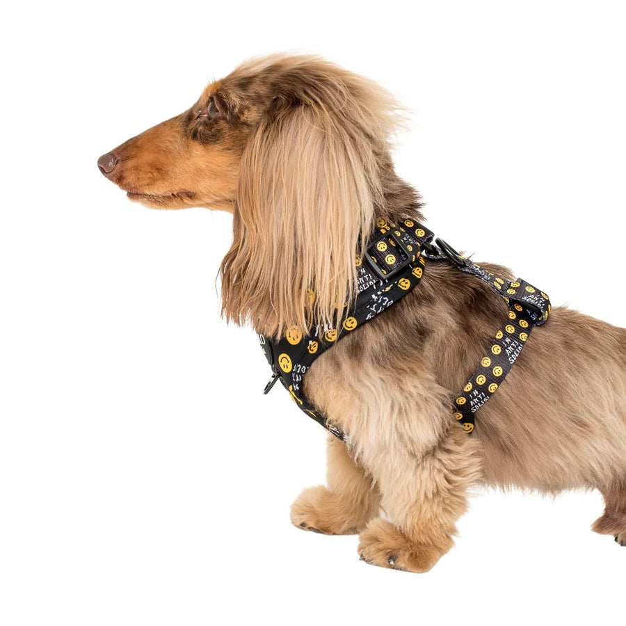 Anti Social Adjustable Harness – Uncanny Animals - Main Image