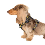 Anti Social Adjustable Harness