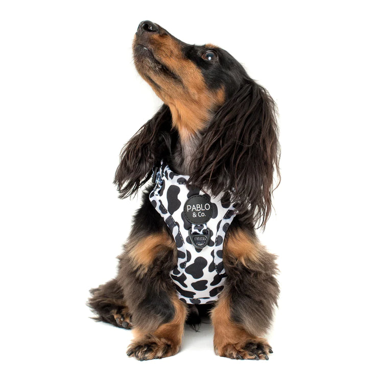 Moo Moo Cow Print Adjustable Harness