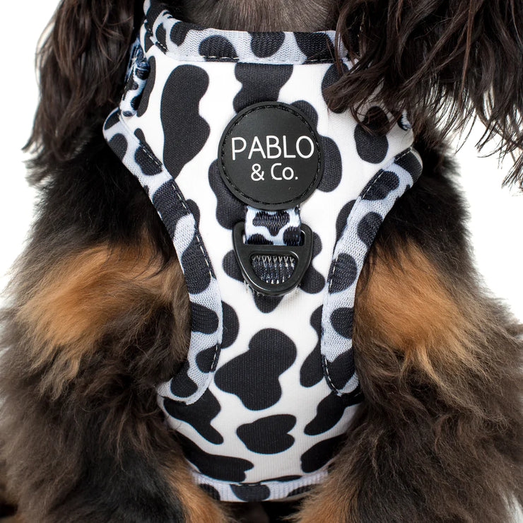 Cow print dog hot sale harness
