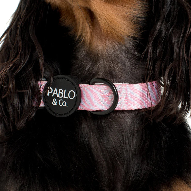 Pink Zebra Dog Collar
