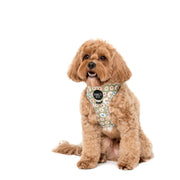 Smiley Flowers Adjustable Harness