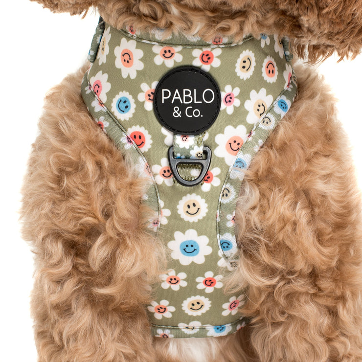 Smiley Flowers Adjustable Harness