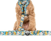 The Lion King Dog Leash