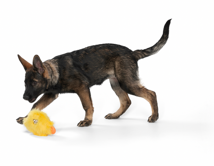 "Taylor" Durable Plush Toy for Rough Dogs - Yellow