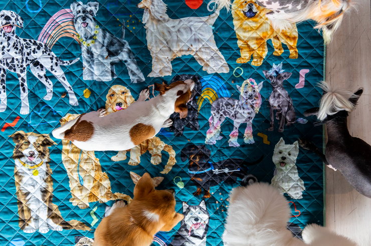 Rudie Nudie x Uncanny Animals Multi-Use Dog Mat