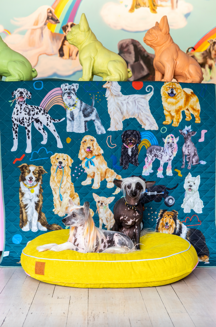 Rudie Nudie x Uncanny Animals Multi-Use Dog Mat