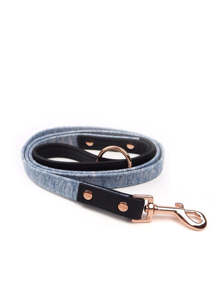 Grey Days City Leash