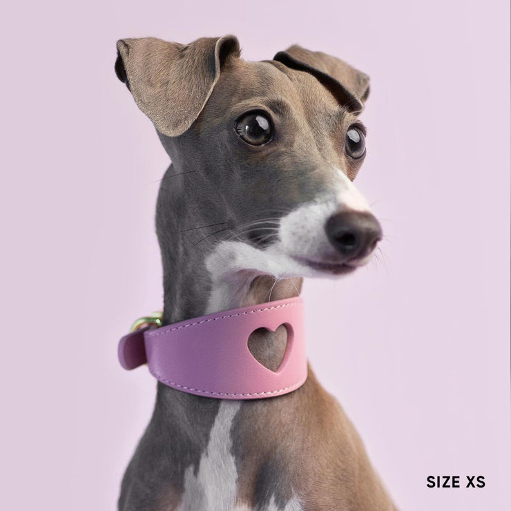 Sweetheart Dog Collar - Blossom Pink