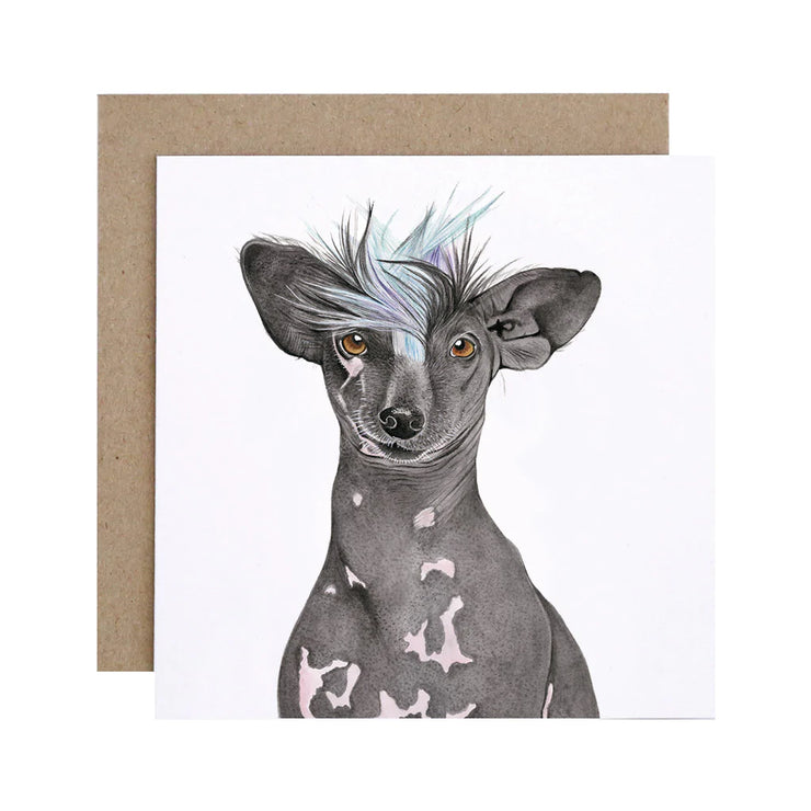 Tempeh the Chinese Crested Dog Greeting Card
