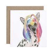 Tofu the Chinese Crested Dog Greeting Card