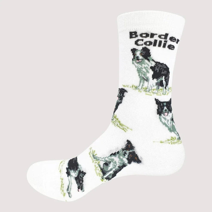 Dog Breed Socks