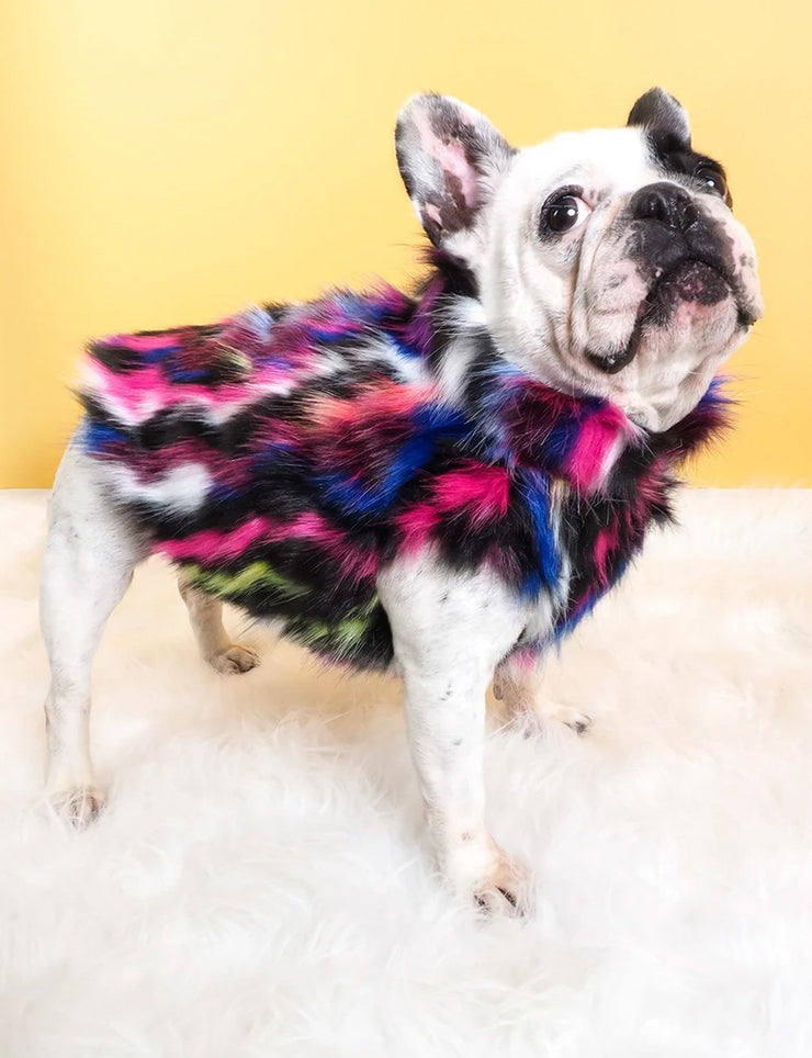 Neon Dreams Faux Fur Pet Jacket