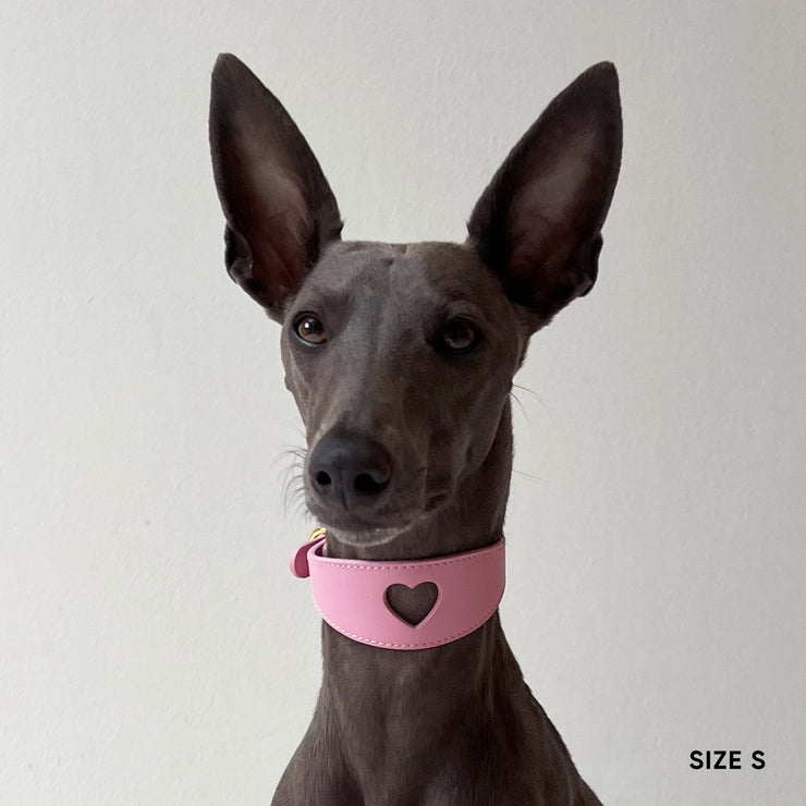 Sweetheart Dog Collar - Blossom Pink