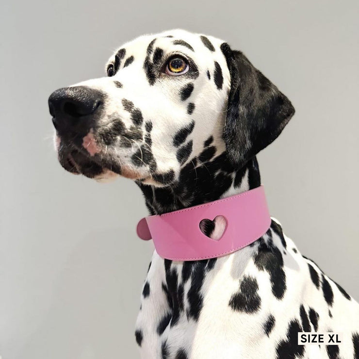 Sweetheart Dog Collar - Blossom Pink