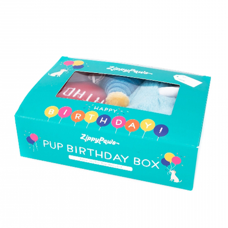 Birthday Box with Cake, Balloon & Party Hat Dog Toys